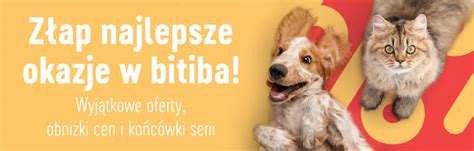 bitiba logowanie|moja bitiba.